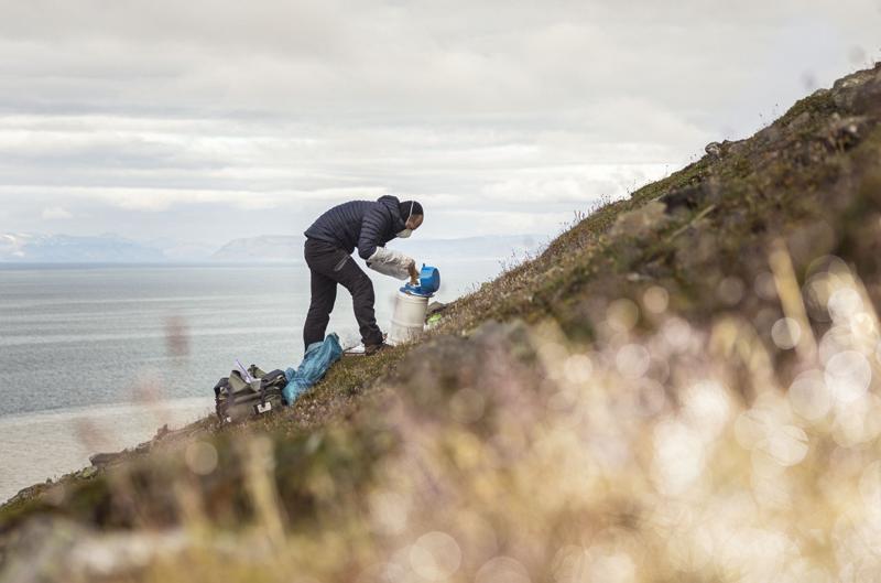 On an Arctic archipelago, frozen soil may preserve a hidden history of viruses
