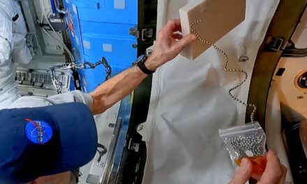 This is how the chain fountain effect behaves in space