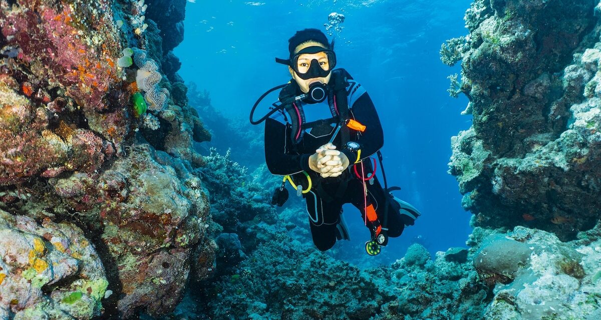 What it’s like to night dive on the Great Barrier Reef