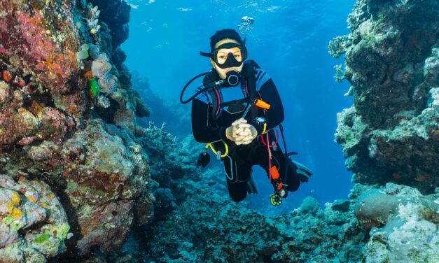 What it’s like to night dive on the Great Barrier Reef