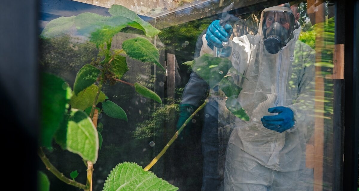 What it takes to tend poisonous plants in the world’s deadliest garden