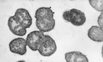 Diagnostic dilemma: A toddler accidently ate gonorrhea bacteria from a lab dish