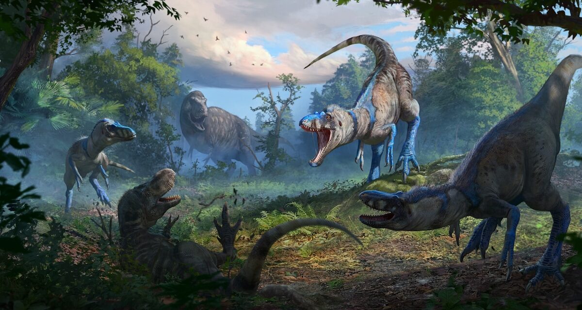 Scientists may have solved the mystery of Nanotyrannus