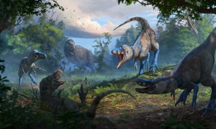 Scientists may have solved the mystery of Nanotyrannus