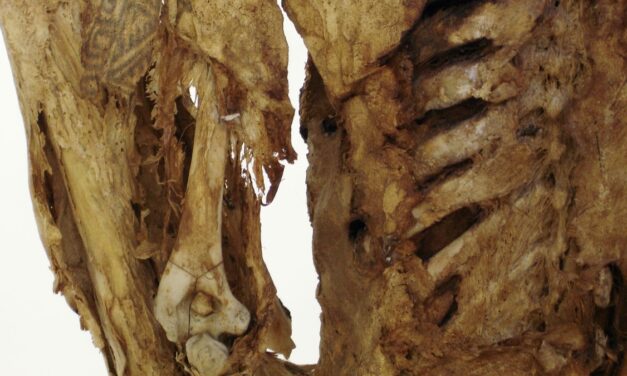 Here are 6 amazing ancient tattoos—and the stories behind them
