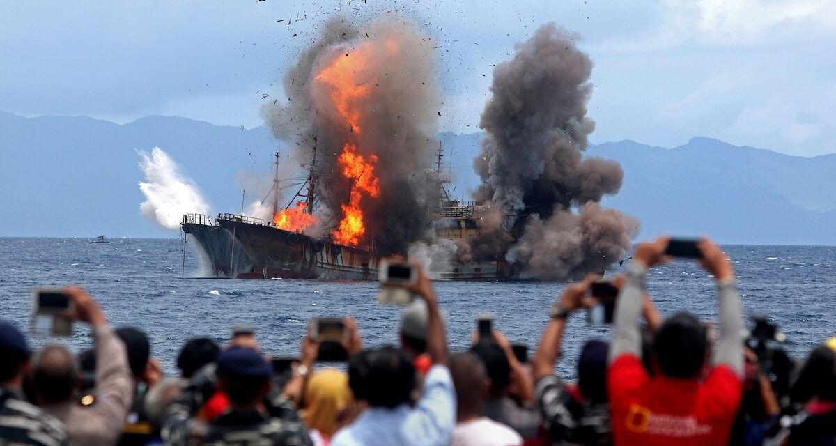 Interpol’s fish crime detectives who hunted villains on the high seas