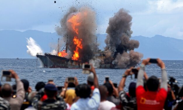 Interpol’s fish crime detectives who hunted villains on the high seas