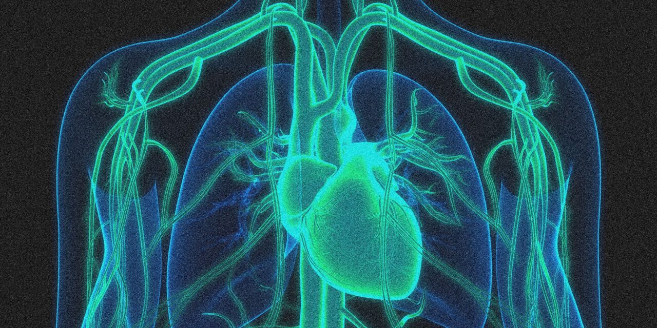 A Gene Editing Therapy Cut Cholesterol Levels by Half