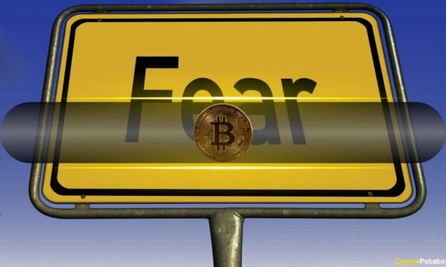 Bitcoin Fear and Greed Index Plunges to 9-Month Low: Ultimate Buy The Dip Signal?