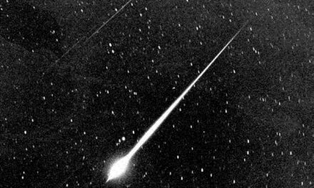 The Leonid Meteor Shower Is Peaking—Here’s How to Watch This Fireball-Filled Event