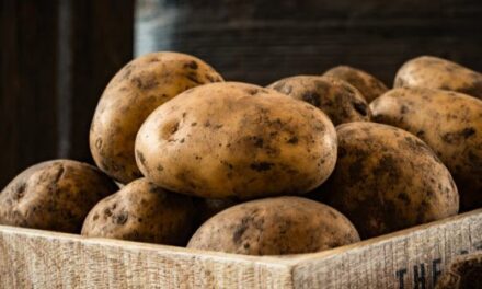 10 Everyday Foods You Didn’t Know Were Invented by the U.S. Military