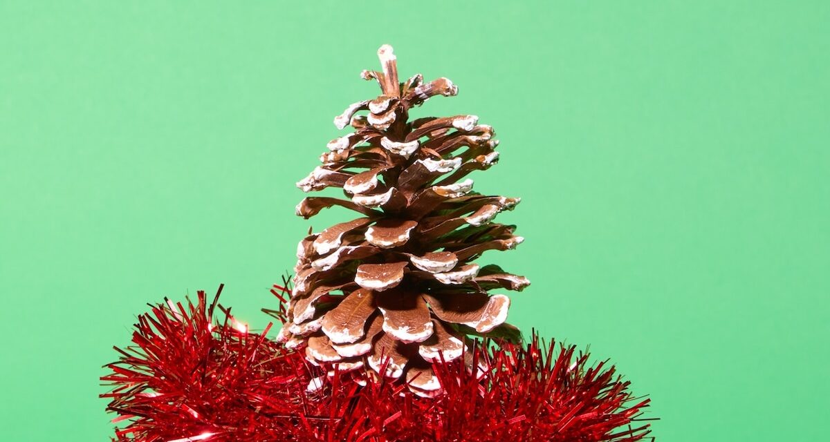 We asked plastics experts how they (sustainably) decorate for the holidays