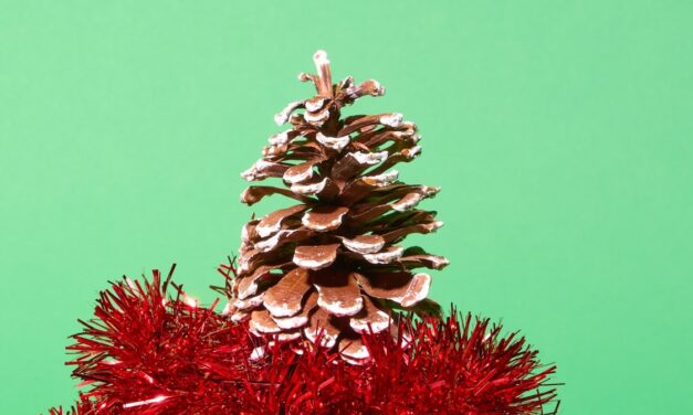 We asked plastics experts how they (sustainably) decorate for the holidays