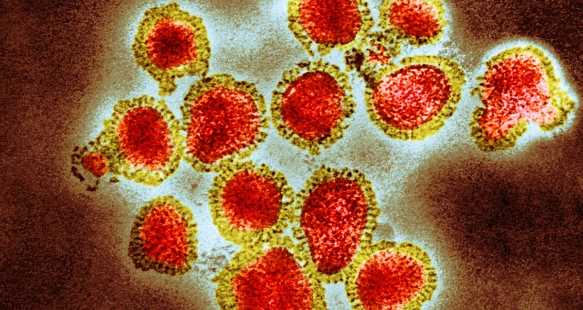 Experts predict this year’s flu season to be worse than usual—here’s why