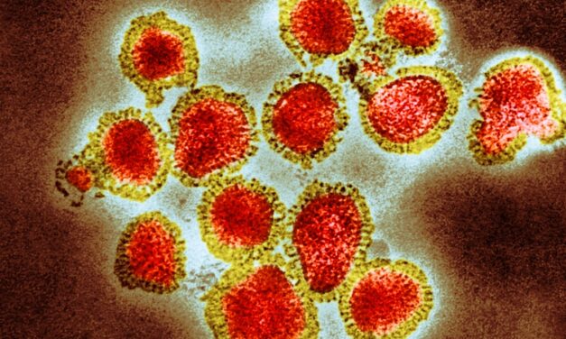 Experts predict this year’s flu season to be worse than usual—here’s why