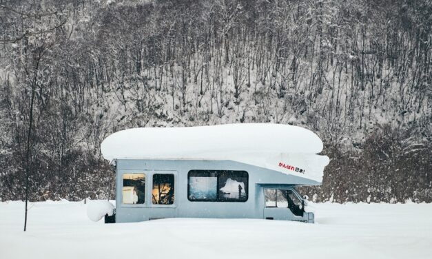 Hokkaido springs to life in winter—see it now