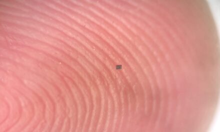 Dancing robot is the size of a grain of salt