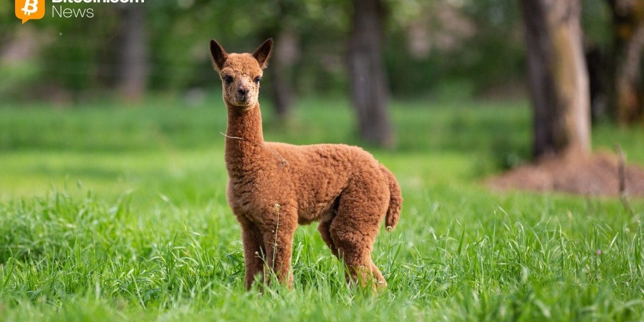 Kraken Expands Alpaca Partnership to Boost Global Tokenized Equities Adoption