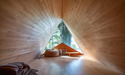 How to go forest bathing in Japan’s Kii Peninsula