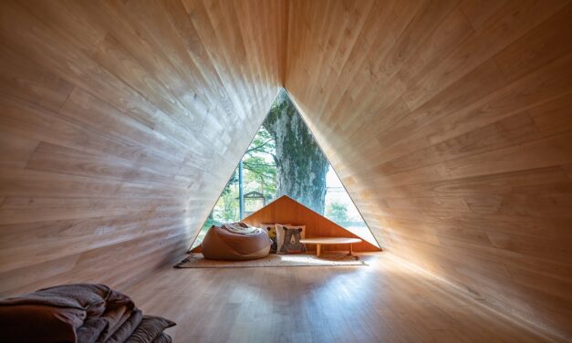 How to go forest bathing in Japan’s Kii Peninsula