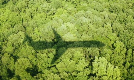 How a climate scientist deals with ‘travel guilt’