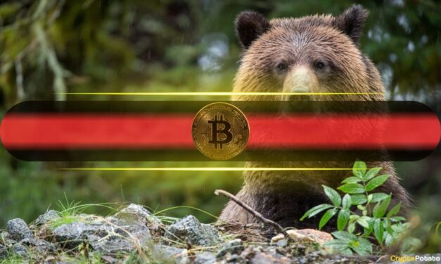 Is Bitcoin Headed for $40,000? Technicals and On-Chain Data Turn Cautious