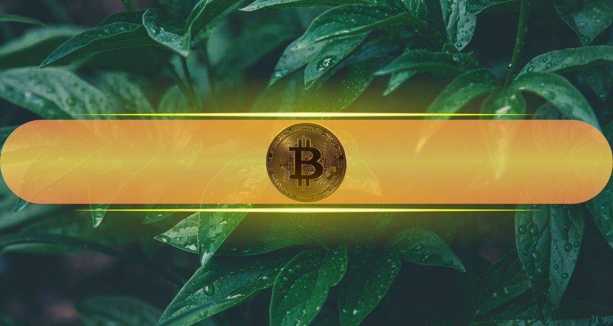 Why 2026 Could Be a Dream Year for Investors: And Where Bitcoin Fits In?