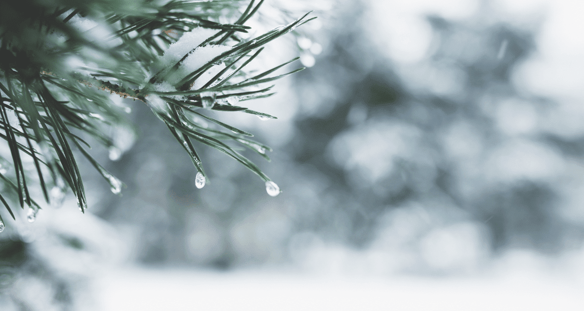 Crypto Trading Activity Hits Yearly Lows as Holiday Lull Freezes Markets