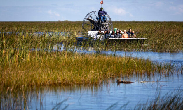 Now in its 25th Year, a Historic Effort to Save the Everglades Evolves as the Climate Warms
