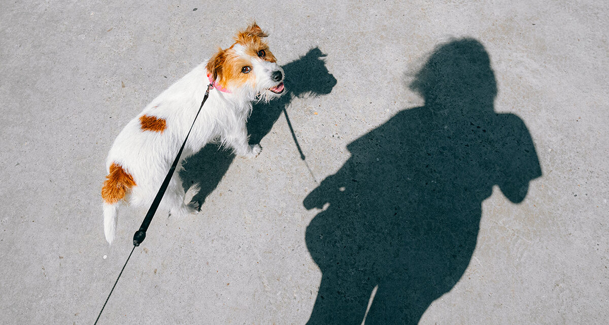 To Execute a Unified Strategy, Leaders Need to Shadow Each Other
