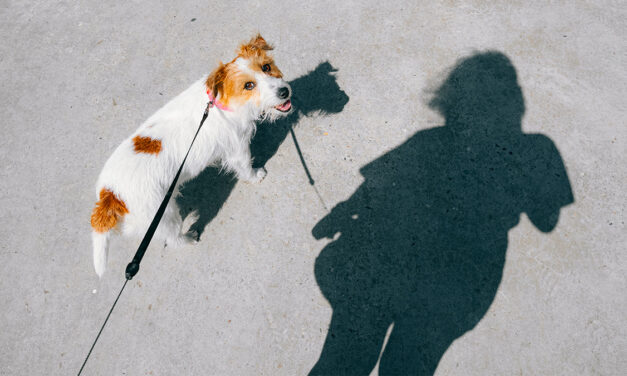 To Execute a Unified Strategy, Leaders Need to Shadow Each Other