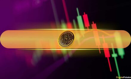 POL Skyrockets by 17% Daily, BTC Price Calms Above $90K: Weekend Watch
