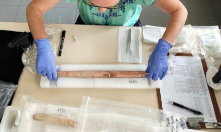 Scientists find oldest direct evidence of whaling in a place they never suspected