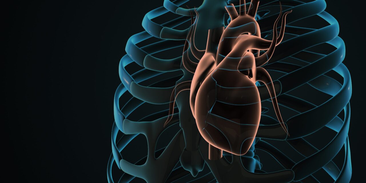 Surgeons Just Performed the First Open Heart Surgery Without Ever Opening the Chest. Here’s How.
