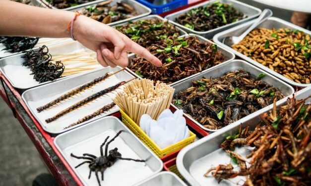 Eating insects: A sustainable solution or an overhyped idea?