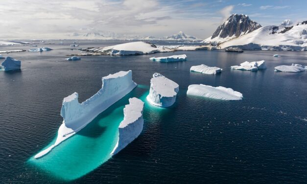 Can the cruise industry go carbon-neutral?
