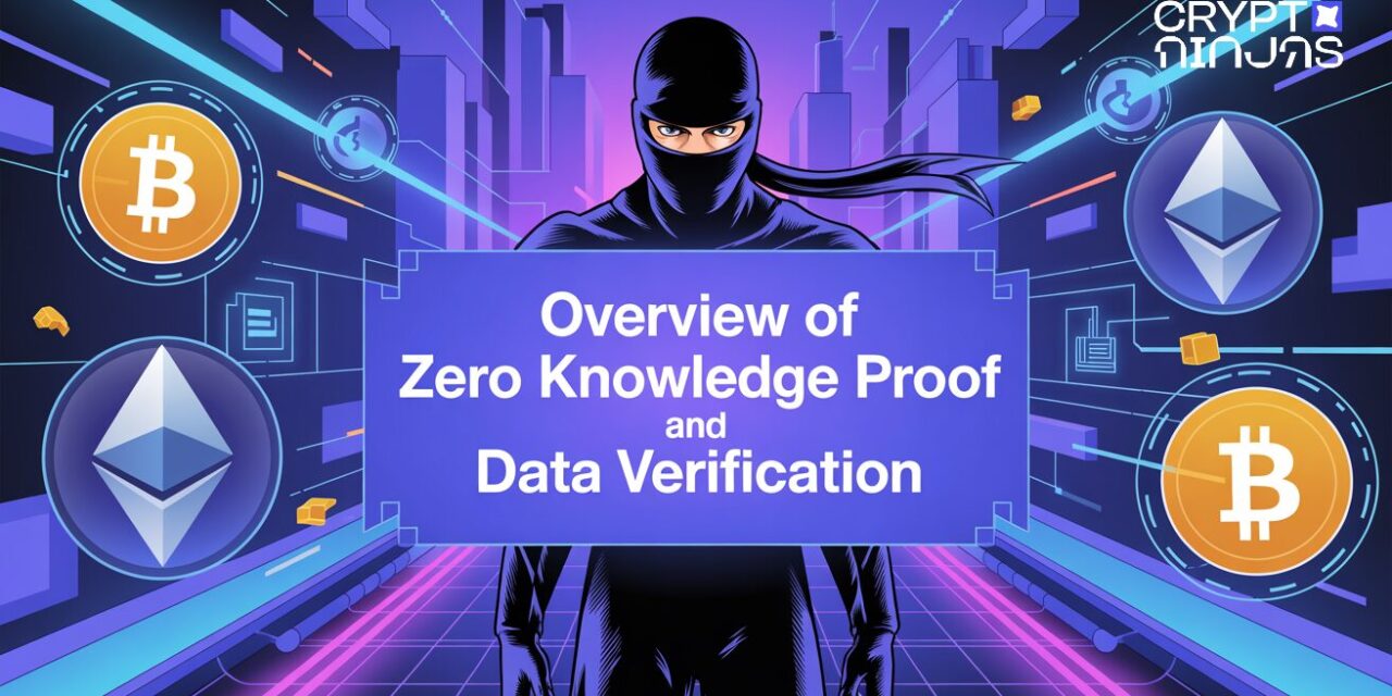 Overview of Zero Knowledge Proof and Data Verification