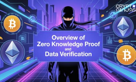 Overview of Zero Knowledge Proof and Data Verification