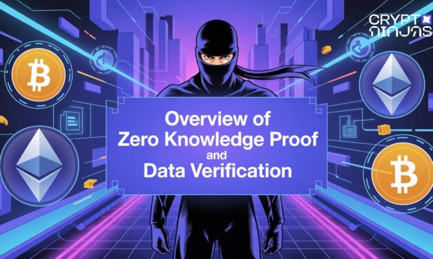 Overview of Zero Knowledge Proof and Data Verification
