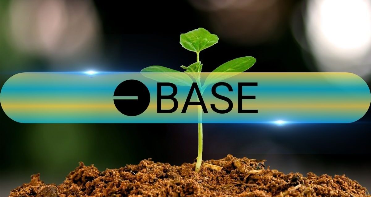 Base Leads L2 Fees With $147K Daily as Most Chains Earn Under $5K