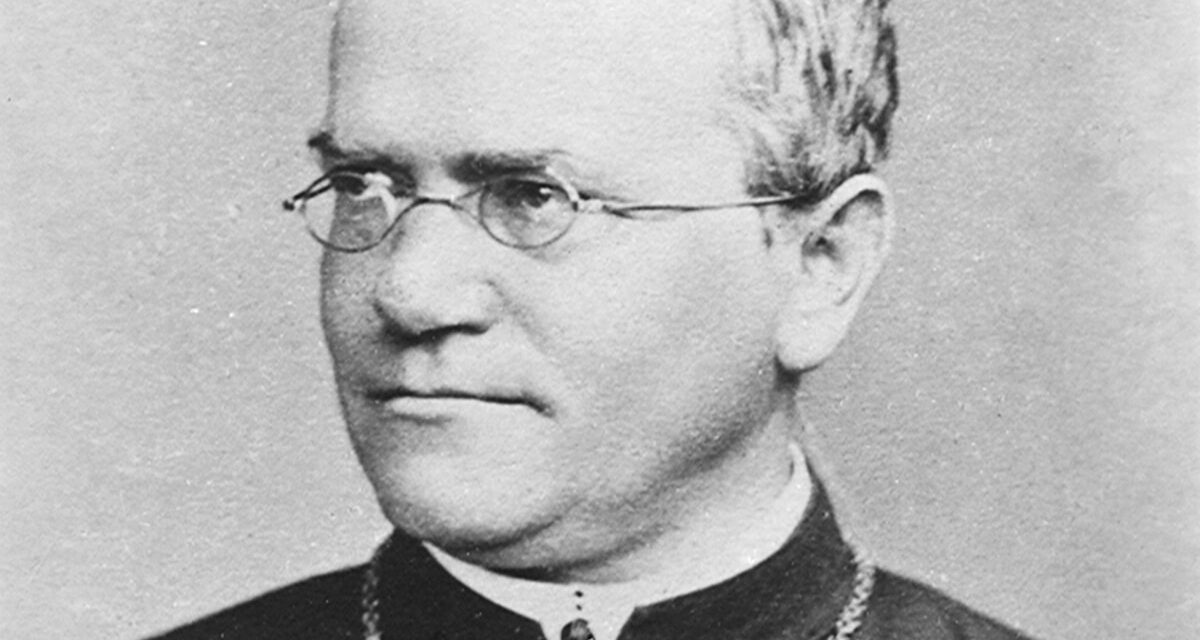 The monk who discovered the laws of genetics—but was overlooked in his time