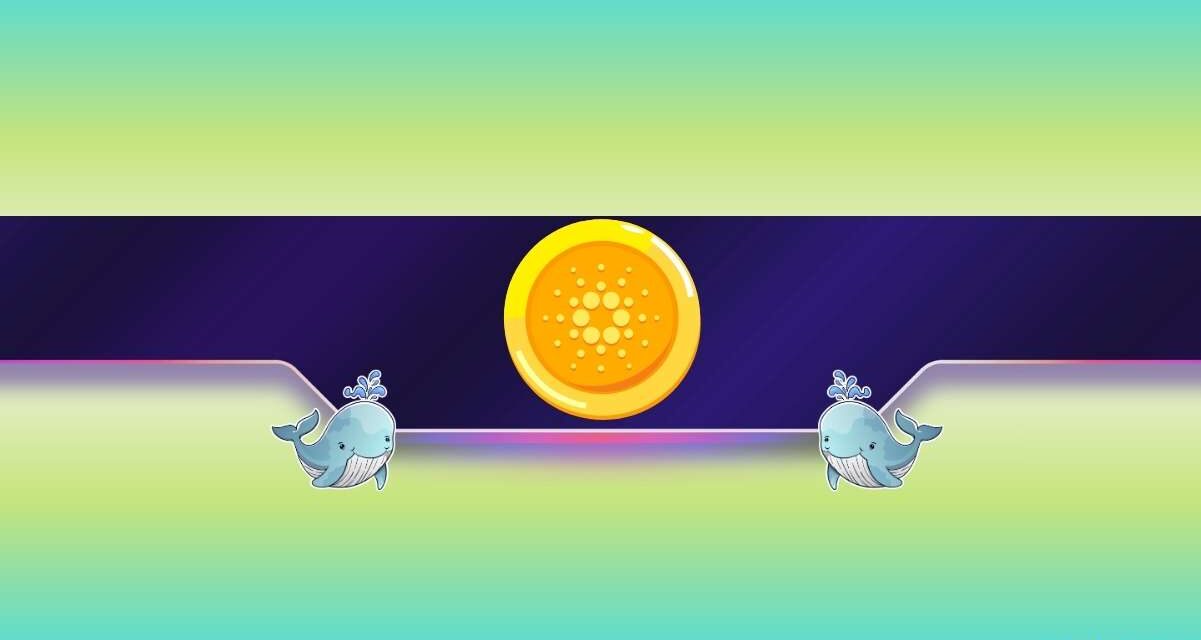 210,000,000 ADA Bought in 3 Weeks: What Do Cardano Whales Know?