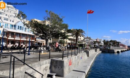 Bermuda’s Onchain Ambition: Pioneering Progress or Risky Overhaul?