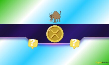 Why Is Ripple’s Price Down Today and What Is Next for XRP?