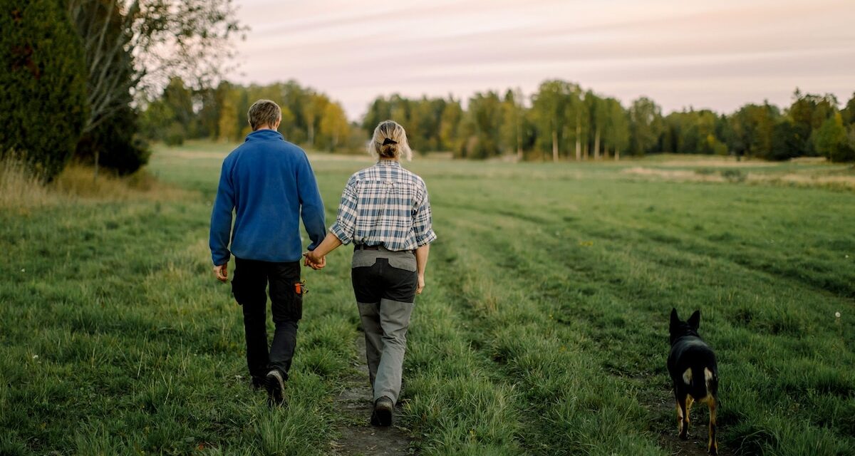 A walk after eating can change how the brain and body respond to food