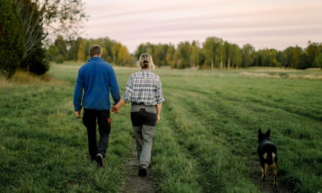 A walk after eating can change how the brain and body respond to food