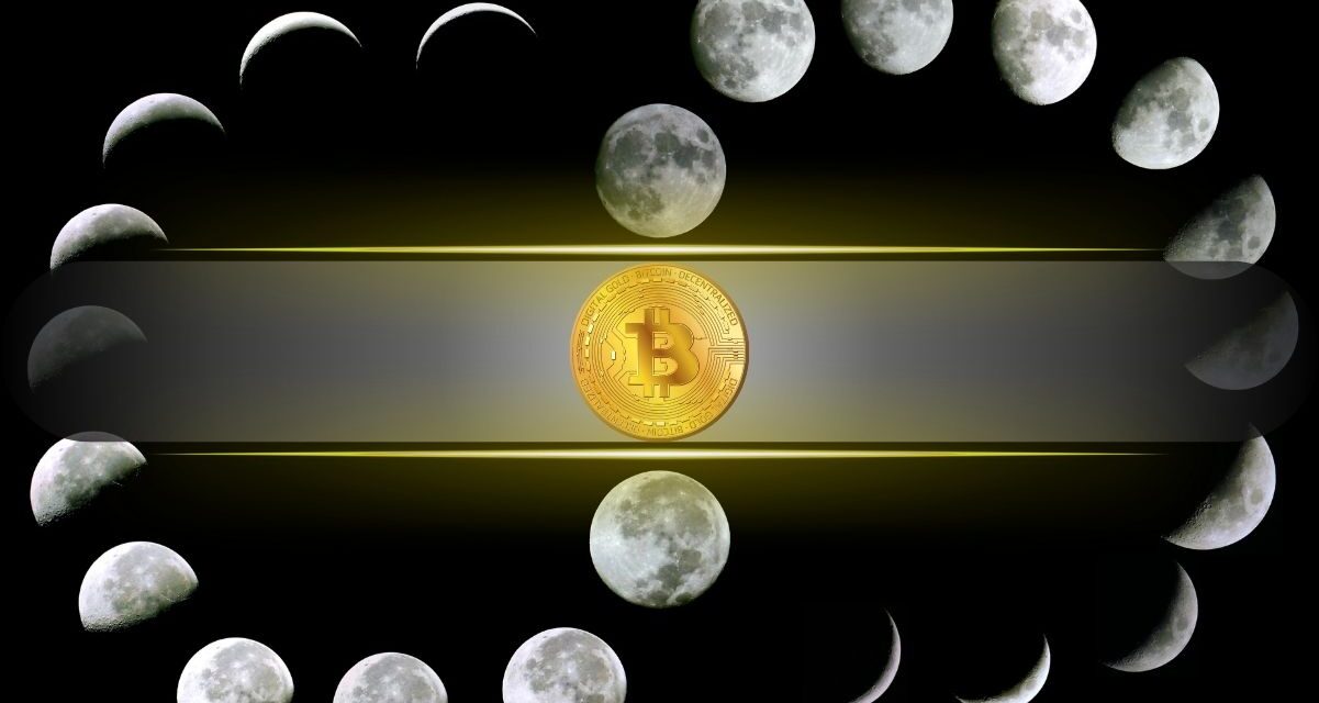This Crypto Cycle Broke the Pattern: No Systemic Failures, Rising On-Chain Assets
