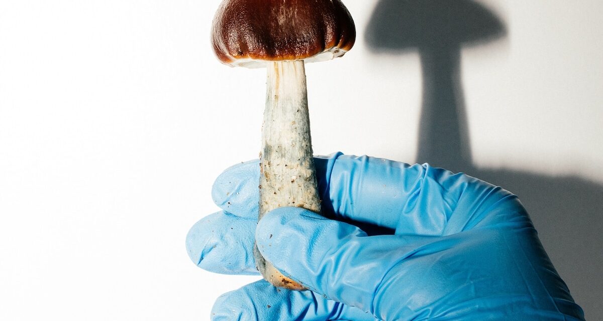 These drugs could be a game changer for end-of-life care