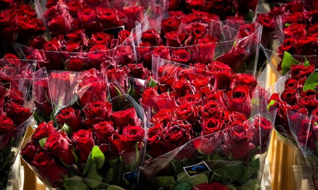 Inside the world’s largest flower market—the likely source of your Valentine’s bouquet