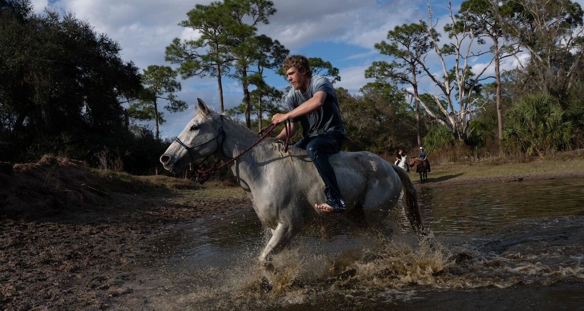 See Florida’s cowboy history come to life in this 54-mile cattle drive